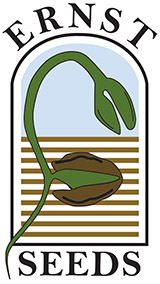 Ernst Seeds